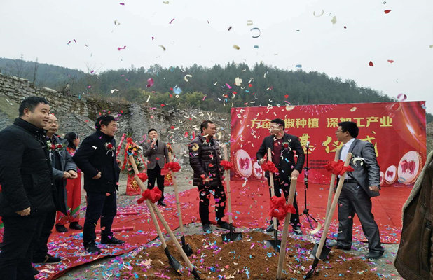 萬畝辣椒基地